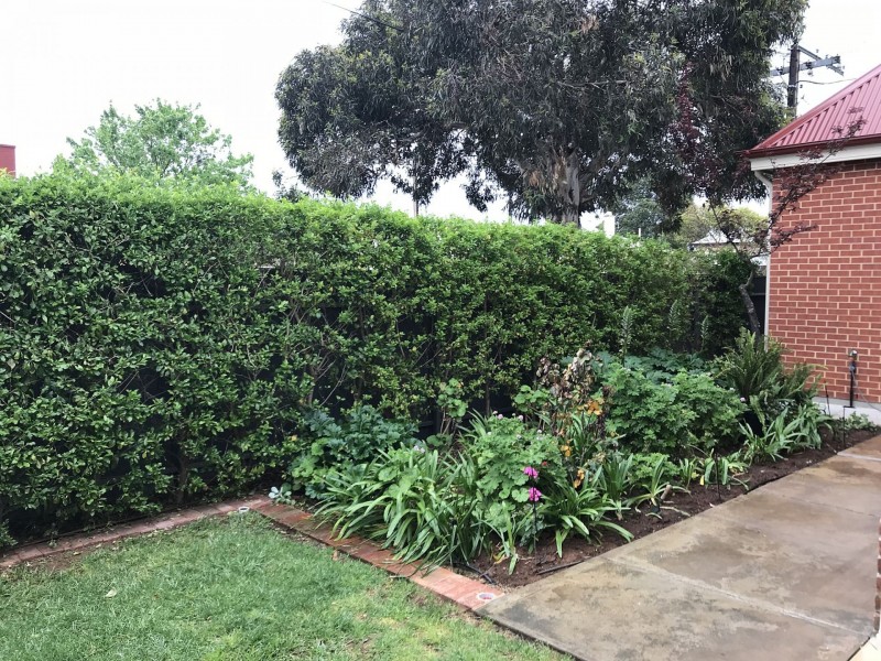 43 Darebin St, Mile End SA 5031