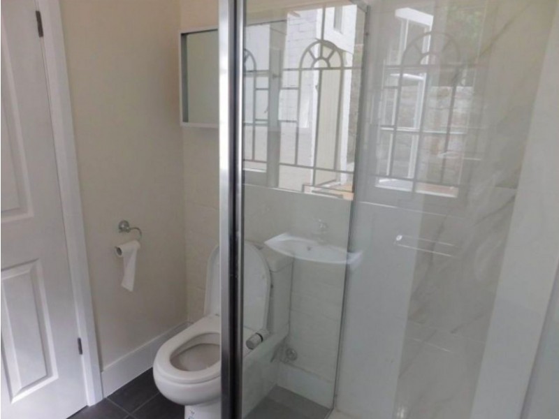 41 Foss St, Forest Lodge NSW 2037