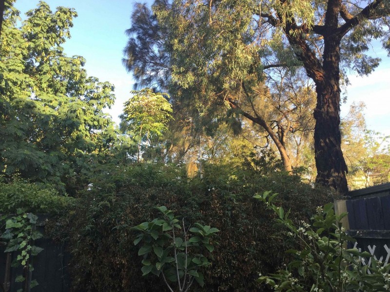 2 Emily St, Brighton VIC 3186