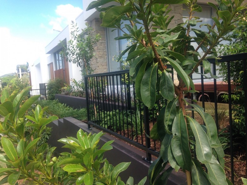 2/15 Gordon St, Milton QLD 4064