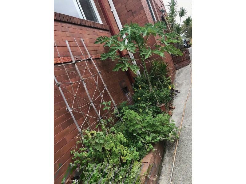 3/23 Carey St, Manly NSW 2095