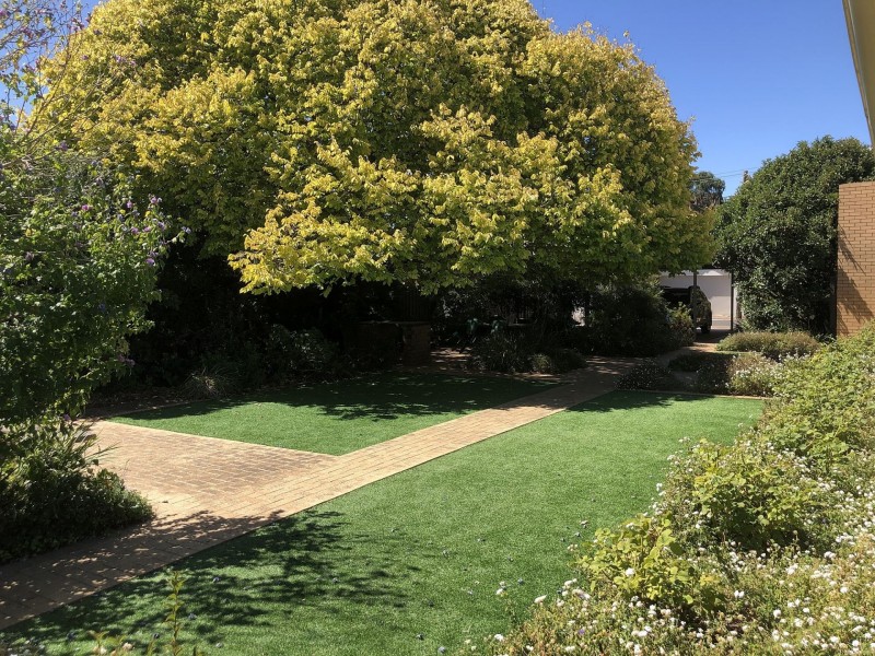 37 Donegal St, Norwood SA 5067