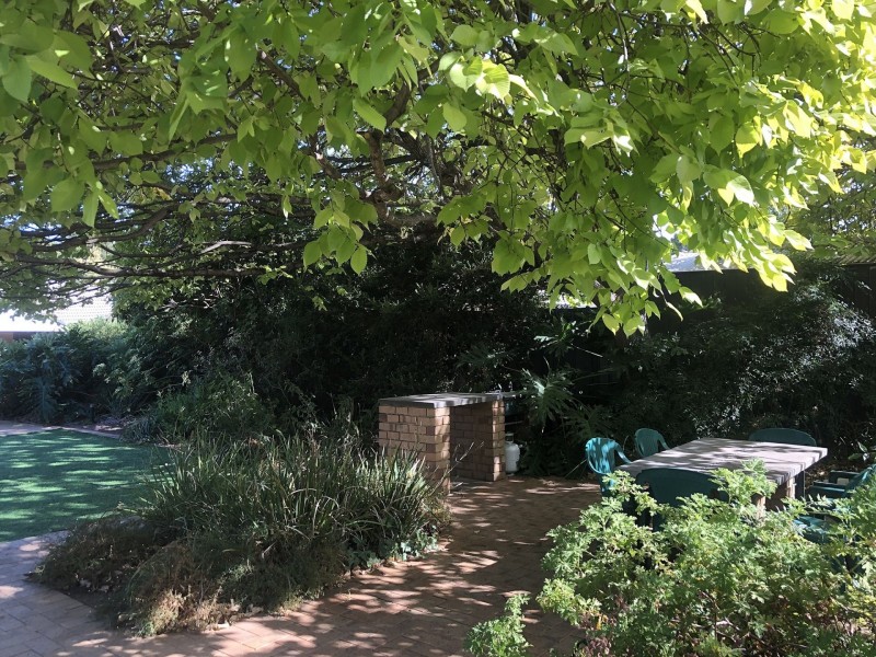 37 Donegal St, Norwood SA 5067