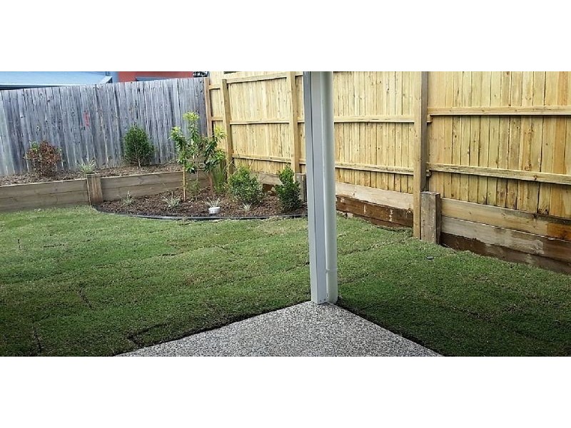 19 Ridgemont St, Upper Coomera QLD 4209