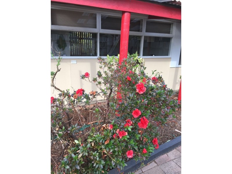 6 Kneebone St, Ararat VIC 3377