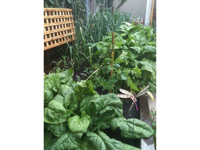 105 Hill St, West Hobart TAS 7000
