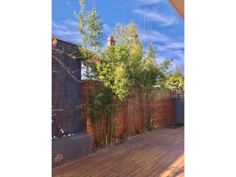 2/163 Prospect Hill Rd, Canterbury VIC 3126