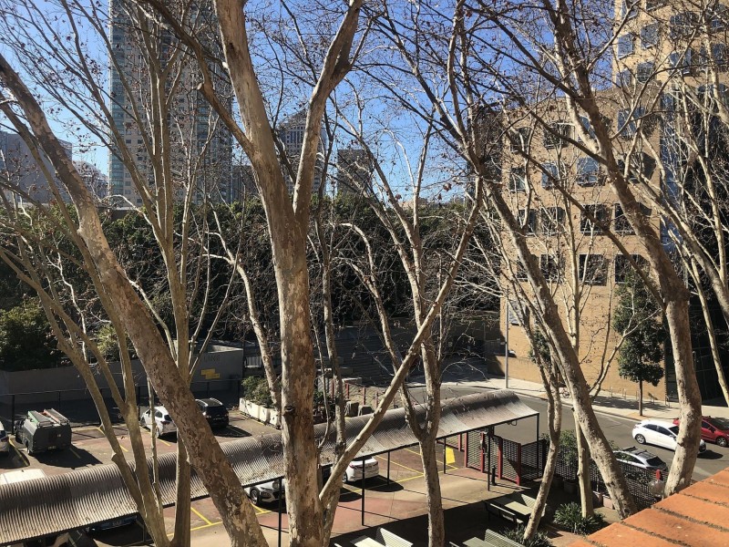 74/82 Mary Ann St, Ultimo NSW 2007