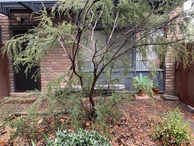 18/201 Graham St, Port Melbourne VIC 3207