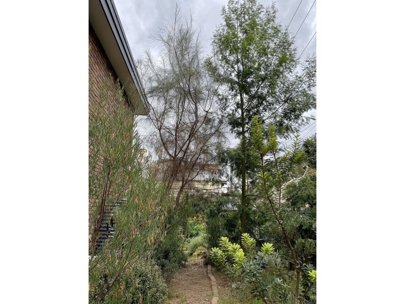 18/201 Graham St, Port Melbourne VIC 3207