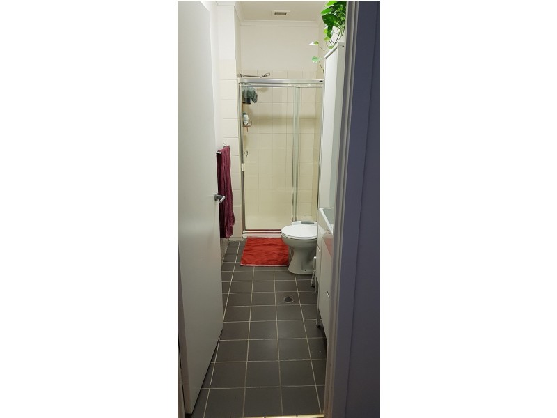 17/305 Carlisle St, Balaclava VIC 3183
