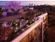 713 Elizabeth St, Waterloo NSW 2017