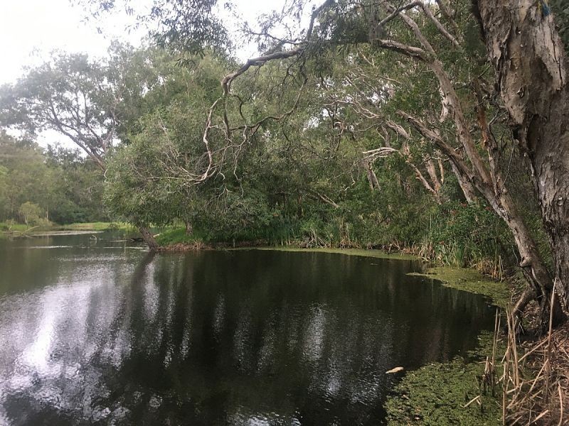 7 Lagoon St, Caboolture QLD 4510