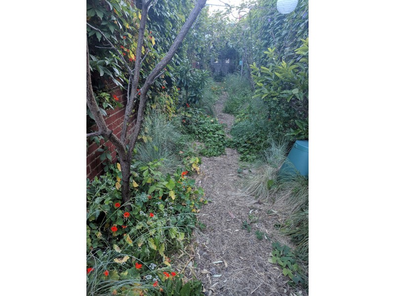 110 Gardenvale Rd, Gardenvale VIC 3185