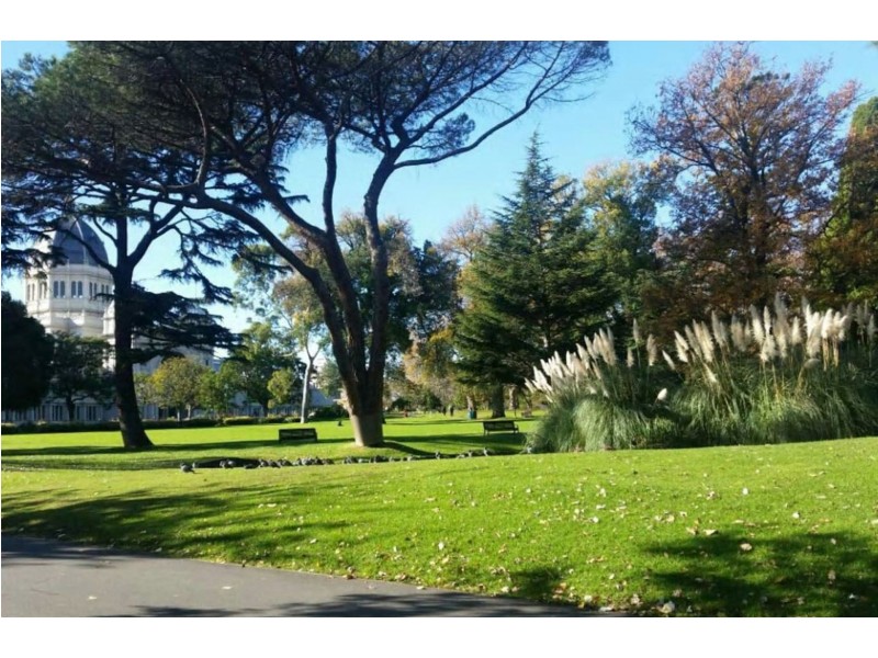 124/51-67 Rathdowne St, Carlton VIC 3053