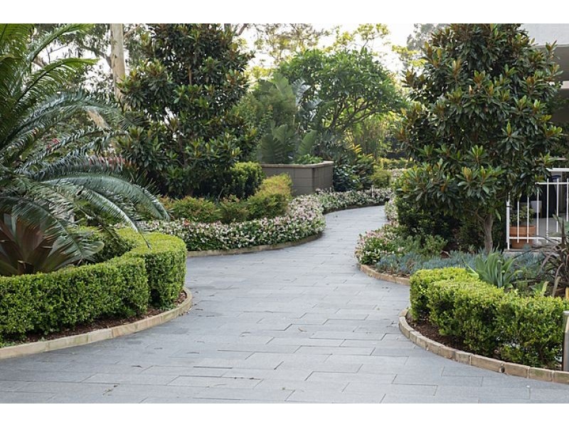 16/2A Forsyth St, Glebe NSW 2037