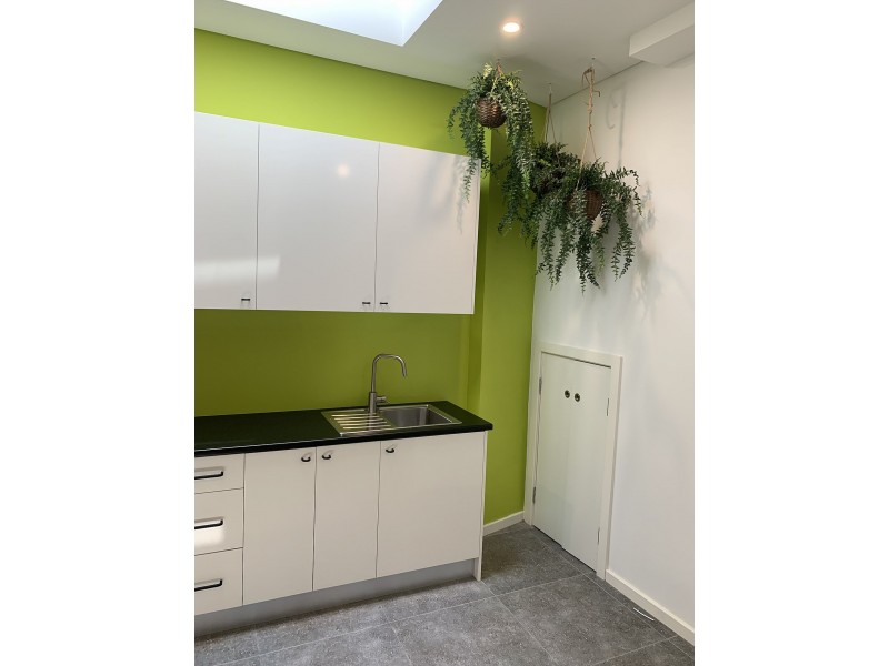 115 Salisbury Rd, Camperdown NSW 2050