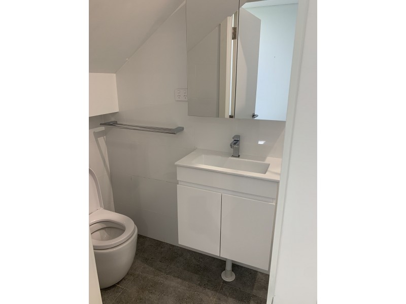 115 Salisbury Rd, Camperdown NSW 2050