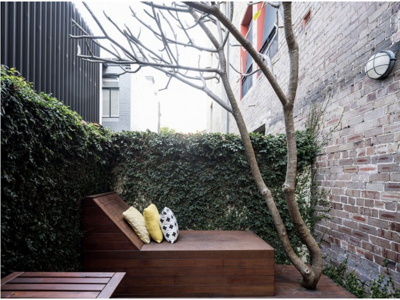 6/82 Myrtle St, Chippendale NSW 2008