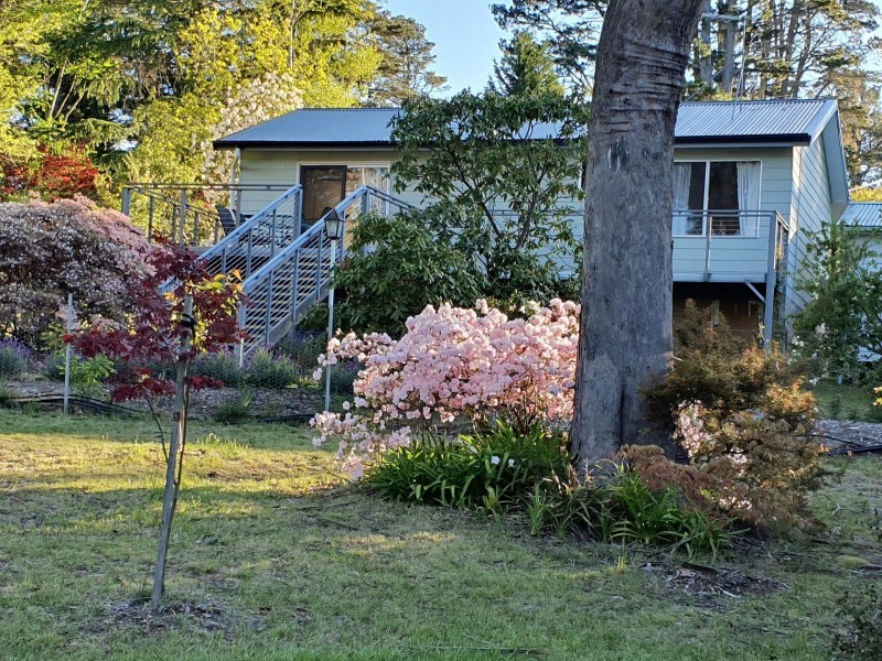 150 Clarence Rd, Blackheath NSW 2785