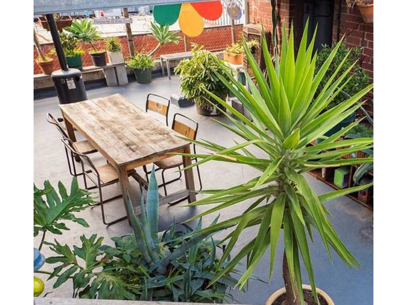 9/47 Fitzroy St, St Kilda VIC 3182