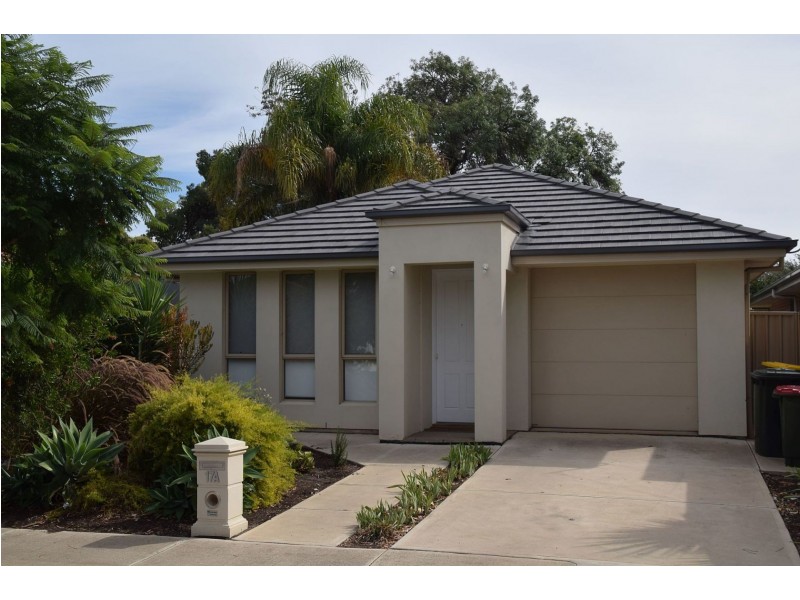 17A Basnett St, Kurralta Park SA 5037