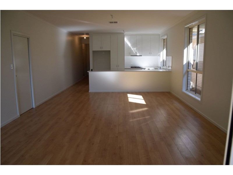 17A Basnett St, Kurralta Park SA 5037