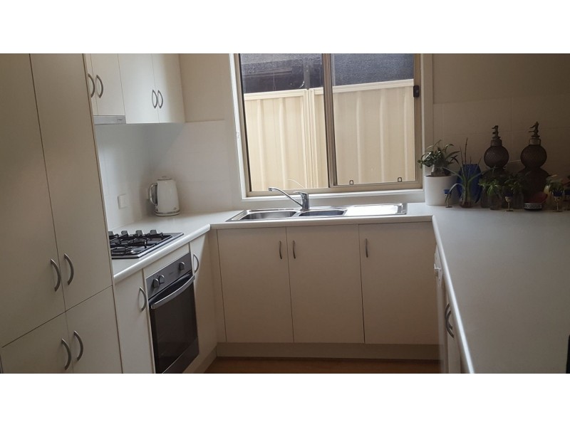 17A Basnett St, Kurralta Park SA 5037