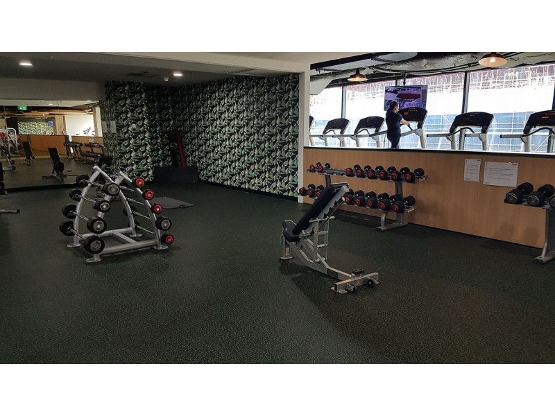 W5061/2 Chippendale Way, Chippendale NSW 2008