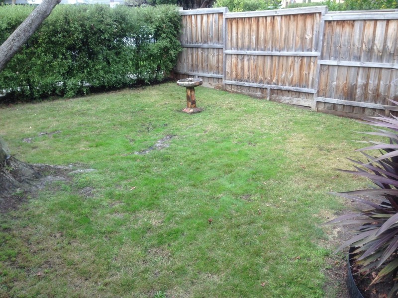 2/26-28 Lithgow St, Glen Iris VIC 3146