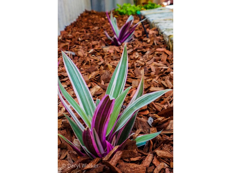 2/43 Parkview Pde, Redcliffe WA 6104