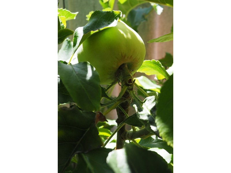 2/43 Parkview Pde, Redcliffe WA 6104