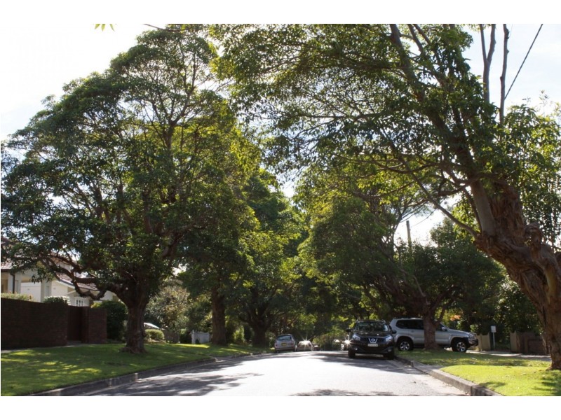 4a Cooney Rd, Artarmon NSW 2064