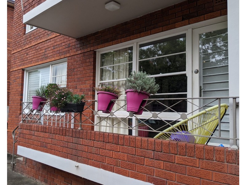 4/26 Tintern Rd, Ashfield NSW 2131