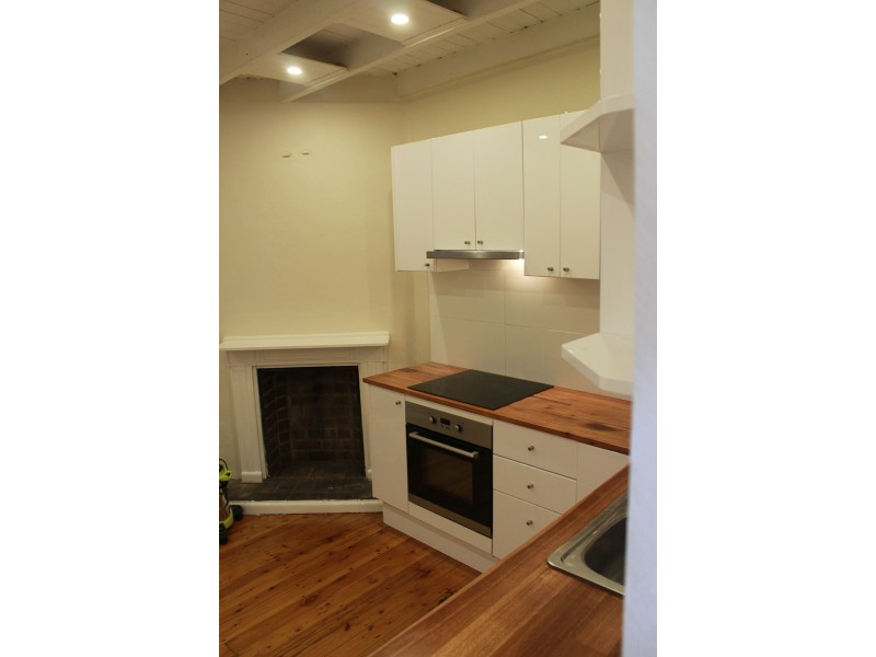 41 Foss St, Forest Lodge NSW 2037