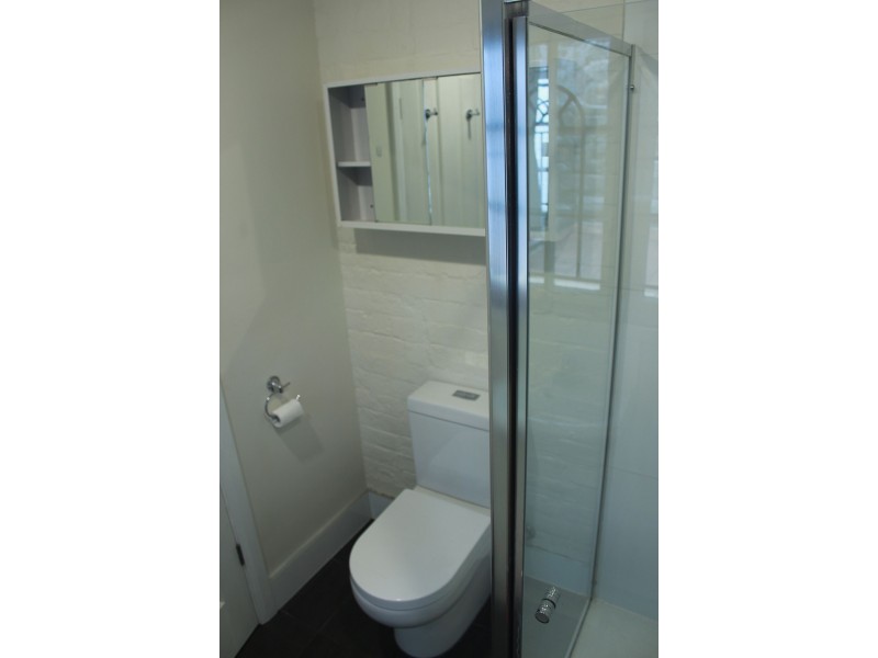 41 Foss St, Forest Lodge NSW 2037