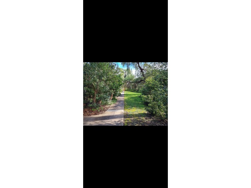 1/23 George St, Torrens Park SA 5062