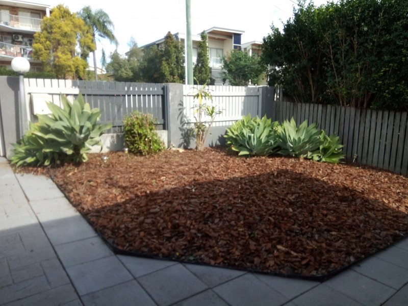 1/47 Dalmore St, Ashgrove QLD 4060