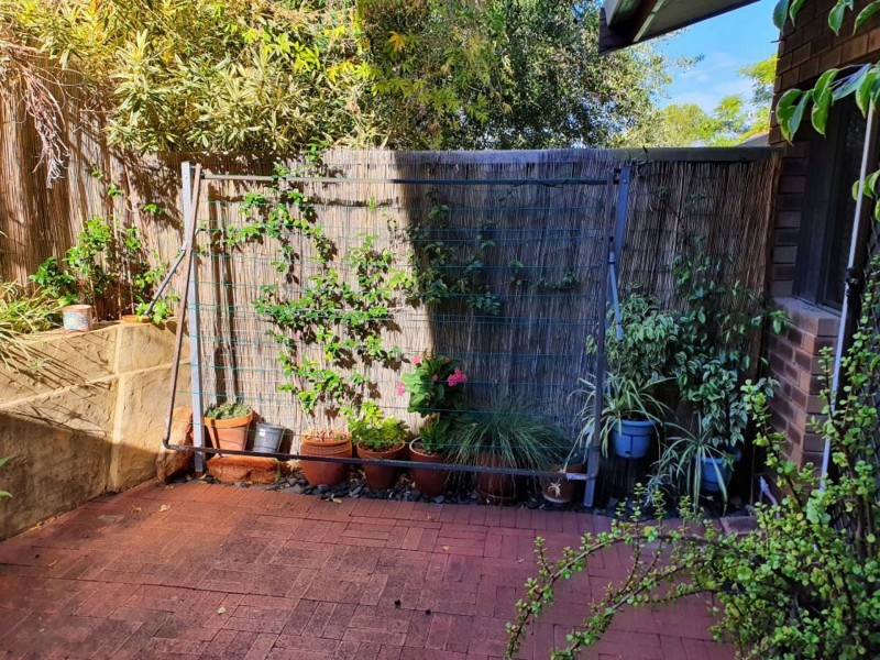 Mount Lawley WA 6050