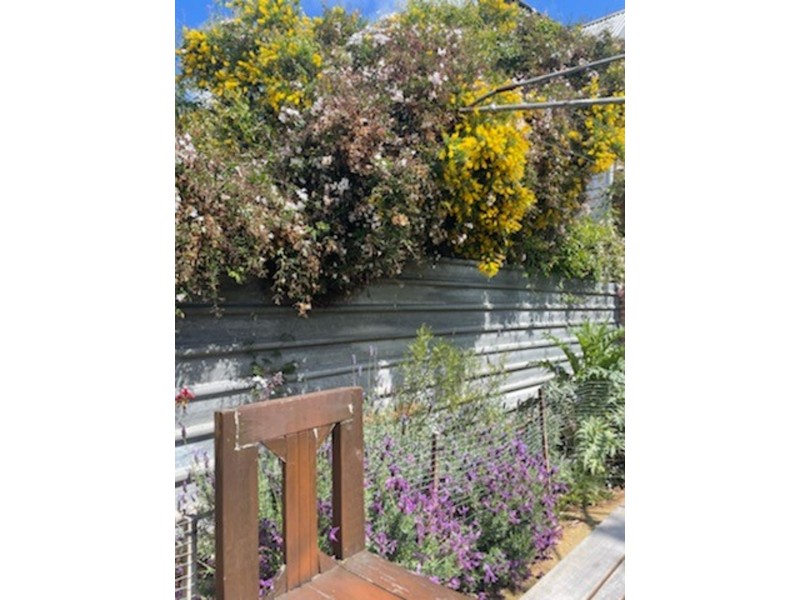 88 Barrow St, Brunswick VIC 3056