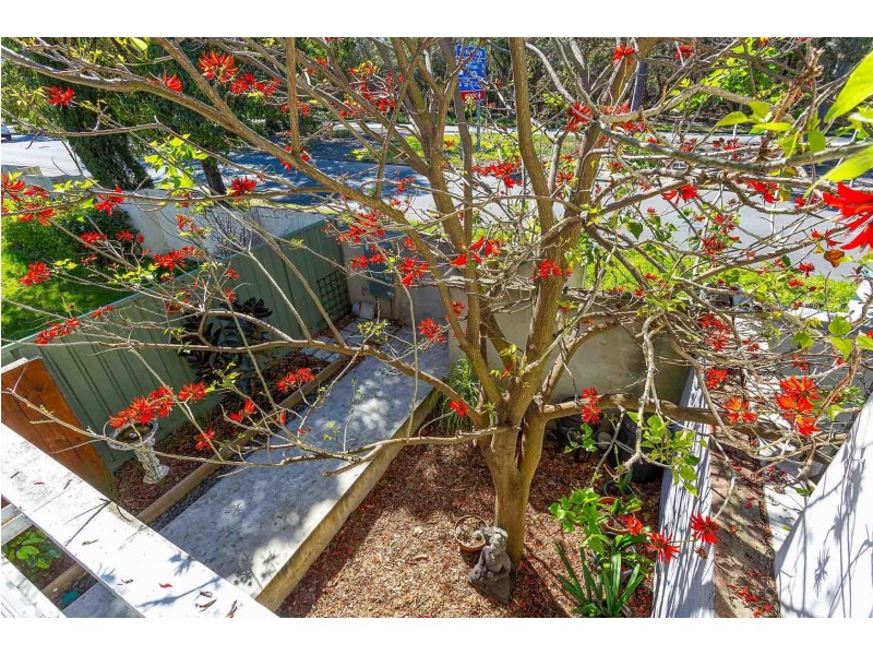 87A Winthrop Ave, Nedlands WA 6009