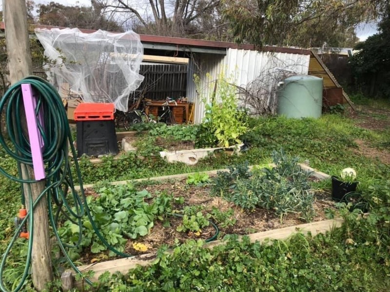 39 Miller St, O’connor ACT 2602