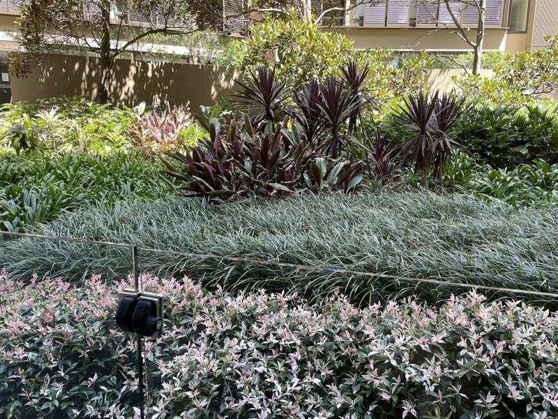 45/1 King St, Newcastle NSW 2300