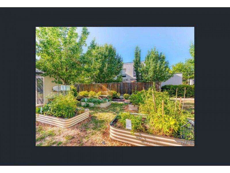 15/2 Archibald St, Lyneham ACT 2602
