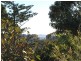 31 Savoy St, Port Macquarie NSW 2444