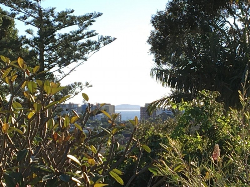 31 Savoy St, Port Macquarie NSW 2444