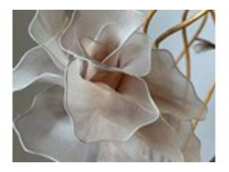 8 Darbyshire Pde, Alkimos WA 6038