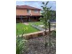 61 Grand Pde, Epping VIC 3076