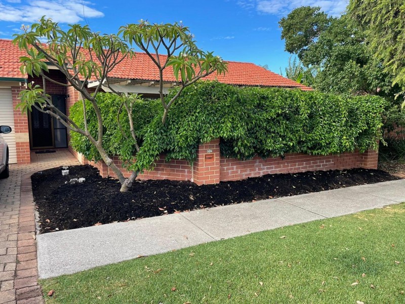 1/12 Villiers St, Yokine WA 6060