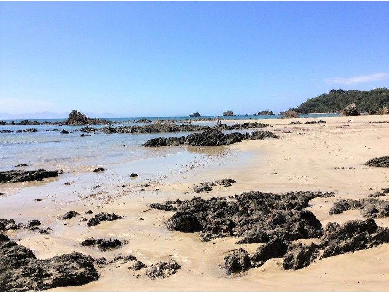 5 Arnott St, Tarwin Lower VIC 3956